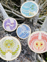 Load image into Gallery viewer, Burrowing Owl Embroidery Kit
