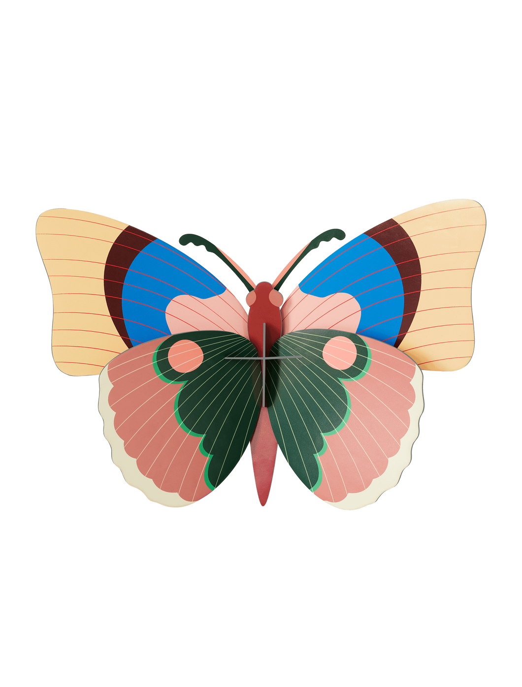 Cepora Butterfly