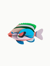 Load image into Gallery viewer, Fairy Wrasse
