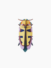 Load image into Gallery viewer, Mango Flower Beetle
