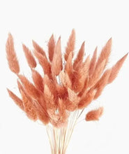 Load image into Gallery viewer, White Bunnytails Dried Floral: Dusty rose
