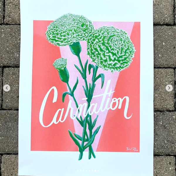 Evening Botany: Carnation