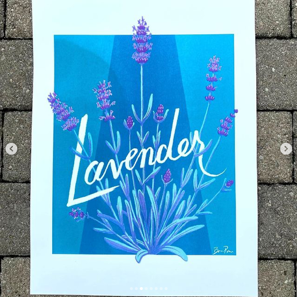 Evening Botany: Lavender