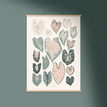 Load image into Gallery viewer, Caladiums Art Print

