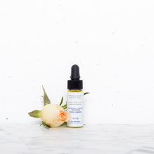 Load image into Gallery viewer, Rejuvenating + Hydrating Face Serum
