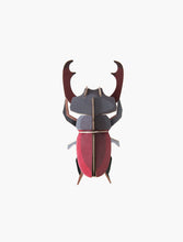 Load image into Gallery viewer, Stag Beetle
